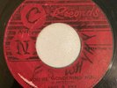 ANDY & JOEY - YOU'RE WONDERING NOW - C AND N ( SKA 7 )