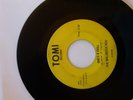 45 RECORD MALABOUS RON -GARAGE, SURF- VG-RARE
