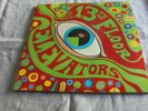 The Psychedelic Sounds Of The 13th Floor Elevators. Vinyl