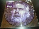 Fun On Earth 2LP Picture Disc - Roger Taylor Queen