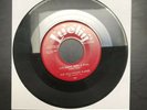 HOLLYWOOD FLAMES One Night With A Fool / Rose Helen Ride 45 Rare Doo Wop