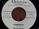 THE PASSIONS - 7