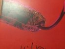 Alice Cooper Killer vinyl LP album record 1st - Ex UK K56005 WARNER BROS A1/B1
