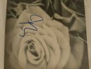 Signed The Mountain Goats - All Eternals Deck vinyl