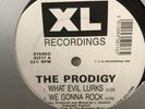 Dance Hardcore Rave 12 Vinyl DJ Prodigy Evil Lurks / Everybody Is the Place XL