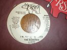 The Ramones 45 I Wanna Be Sedated PROMO RSO