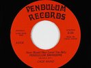 Crossover Soul 45 - Case Band - Never Should Have Loved You - Pendulum VG++ mp3