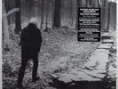 GRAHAM NASH This Path Tonight BLUE CASTLE LP w/ 7