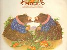 Matching Mole CBS Vinyl LP