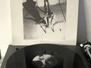 P J Harvey - Dress 12