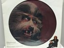 Warren Zevon - Werewolves of London (Picture Disc) (Promo) (Mint)