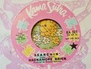 Rare '70 Garage Psych Promo 45 Hackamore Brick Searchin' Velvet Underground HEAR
