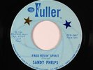 Northern Soul 45 - Sandy Phelps - Free Movin' Spirit - Fuller - VG+ mp3 unknown?