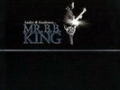 Ladies & Gentlemen Mr B.B. King - 2 DISC SET - B.B. King (2015, Vinyl NEUF)