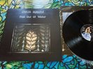 CHRIS SQUIRE  FISH OUT OF WATER Atlantic 75 A2 B2 UK 1st press plus rare poster