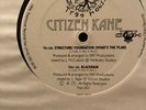 Citizen Kane structure/foundation blackrain Random Rap 12 Inch Tree House Rare