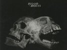 SECT - Blood Of The Beasts - Vinyl (LP)