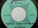 THE FUGITIVES You Can't Blame That On Me FENTON Michigan Garage Killer BFTG LSTN