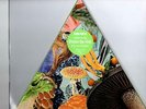 Modest Mouse Poison The Well Vinyl Record 7
