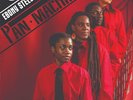 Ebony Steel Band - Pan Machine // Vinyl LP limited to 100 on Red