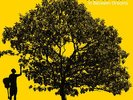 Jack Johnson - In Between Dreams (Vinyl Used Like New)