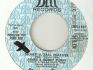 JAMES & BOBBY PURIFY Shake A Tail Feather BELL PROMO NORTHERN SOUL USA 45