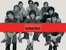 Blood, Sweat & Tears - Bloodlines (Limited Numbered Edition 4x LP Boxset)