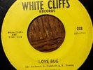 Ann Daniels LOVE BUG / The Name's The Same WHITE CLIFFS 233 Teen/Soul 7