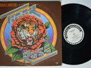 ROBERT HUNTER Tiger ROUND LP VG++ grateful dead phil lesh bob weir jerry garcia