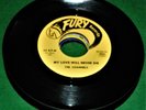 THE CHANNELS: Bye Bye Baby / My Love Will Never Die USA Doo Wop FURY 45 Mint-
