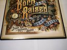 John Mayer - Born And Raised -  2 X VINYL LP