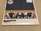 BLOSSOMS LP x 2 Cool Like You Vinyl RECORD STORE DAY 2019 RSD Exclusive Tracks