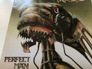 Rage-Perfect man LP,Noise Germany 1988