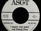THE FORCE FIVE-I Want You Babe-Rare Psych Garage Promo 45-ASCOT #2206
