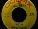 RONNIE and THE RELATIVES (The Ronettes) I Want A Boy ? Rare 45 COLPIX #CP 601