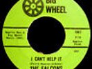 THE FALCONS-I Can't Help It-Rare Northern Soul 45-BIG WHEEL Record Label #1967