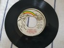 Ras Michael & The Sons Of Negus ? numbered days / Dub 460 Days ZION DISCO vvgc