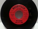JOHNNY NACE HEARTBREAK HALL OF FAME/MAKE A DATE WITH ME 45 ON NASHVILLE   RARE