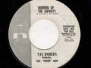 JAZZ/EXOTICA-EMBERS-NEWTIME 513-BURNING UP THE AIRWAVES/ALEXANDRIA