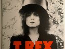ORIGINAL  Vtg 1972 T REX Album THE SLIDER Vinyl RECORD Lp MS 2095 Rare NEAR MINT
