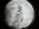 WHILE MY GUITAR GENTLY WEEPS X-RAY USSR VINYL RECORD MUSIC ON BONES ROENTGEN