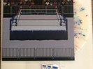 WWF Super Wrestlemania RAW Soundtrack SEGA Vinyl Record DELUXE vers. Moonshake