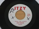 JOHN HAMMOND I Wish You Would/I Can Tell 45 - Mod R&B Garage HEAR