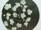 BEATLES Roll Over Beethoven 78rpm 9