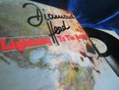 DIAMOND HEAD ?? LIGHTNING TO...?? AUGENSCHEINLICH UNGESPIELT MINT 1st SEHR RAR