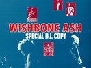 Wishbone Ash Special DJ Copy vinyl LP album record Japanese promo MLD-94 MCA