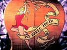 Golden Earring - Naked Truth (Vinyl) [New Vinyl LP] Holland - Import