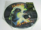 Def Leppard Hysteria Picture Disc Rock 1987 Limited Edition Polygram Vinyl LP