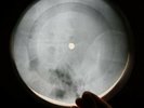 CHUCK BERRY ROLL OVER BEETHOVEN X-RAY USSR VINYL RECORD MUSIC ON BONES ROENTGEN
