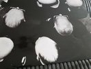 The Move Looking On RARE UK FLY VINYL LP